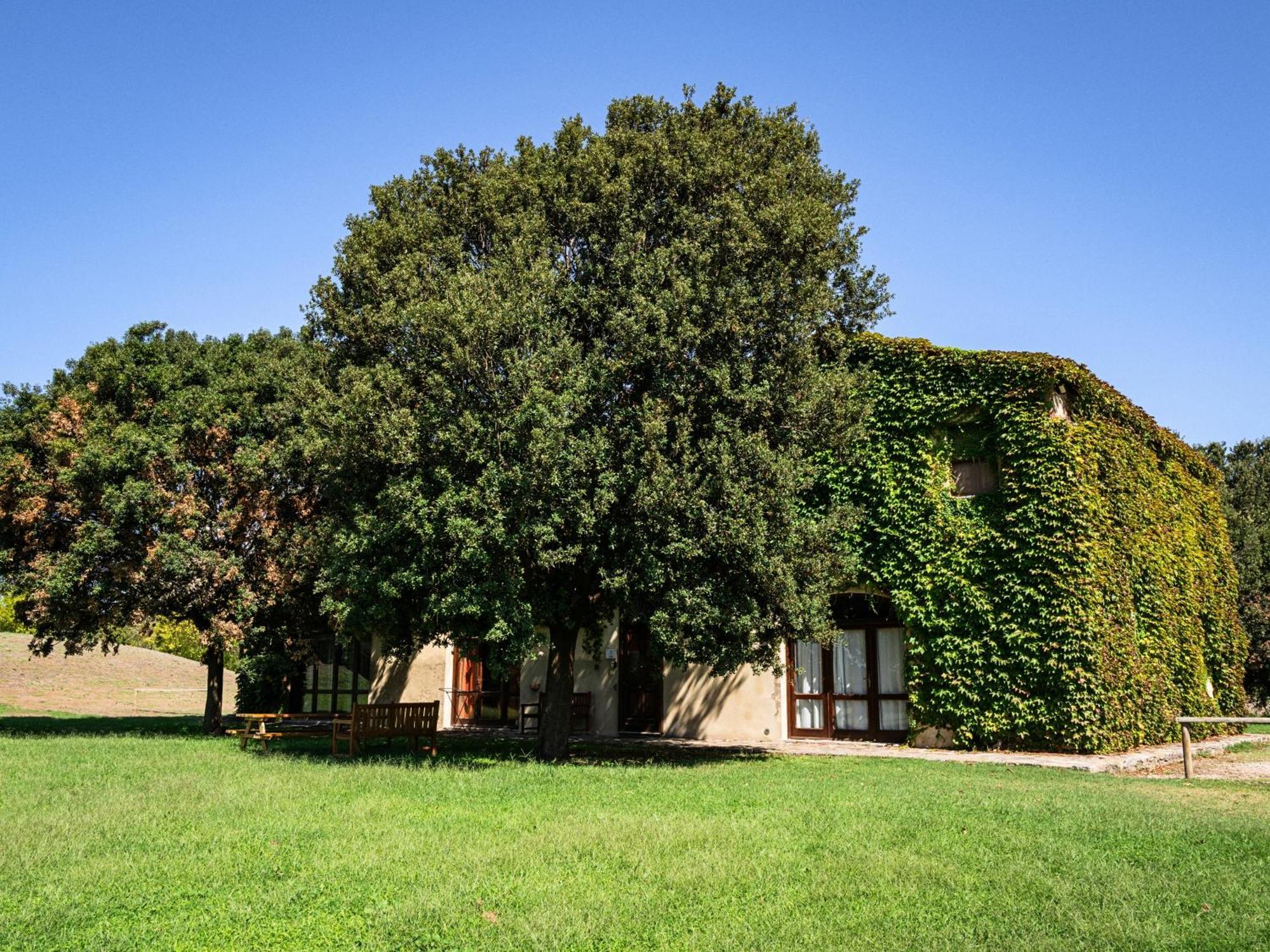 Laselva Albinia Exterior foto